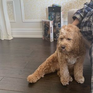 Meet your Posher, Vanessa